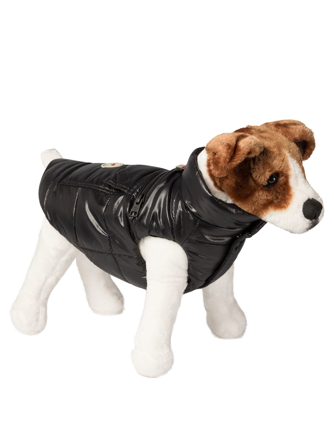 Dog 베스트
